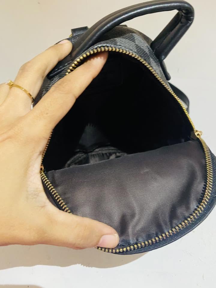 Louis Vuitton Palm Springs Mini Backpack in Damier Graphite Canvas LV-4455-WBG