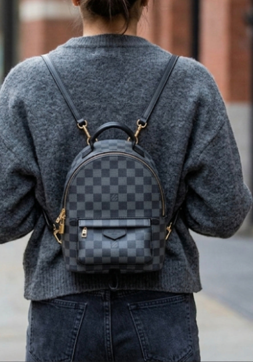 Louis Vuitton Palm Springs Mini Backpack in Damier Graphite Canvas LV-4455-WBG