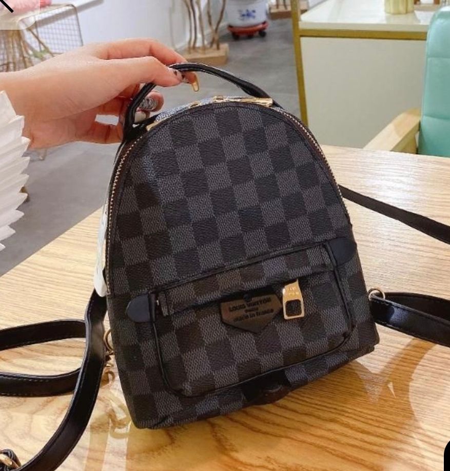 Louis Vuitton Palm Springs Mini Backpack in Damier Graphite Canvas LV-4455-WBG