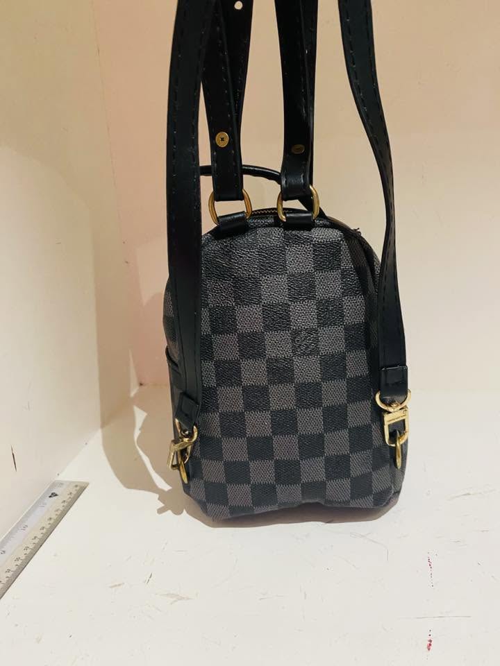 Louis Vuitton Palm Springs Mini Backpack in Damier Graphite Canvas LV-4455-WBG