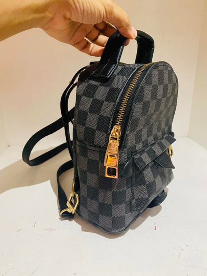 Louis Vuitton Palm Springs Mini Backpack in Damier Graphite Canvas LV-4455-WBG