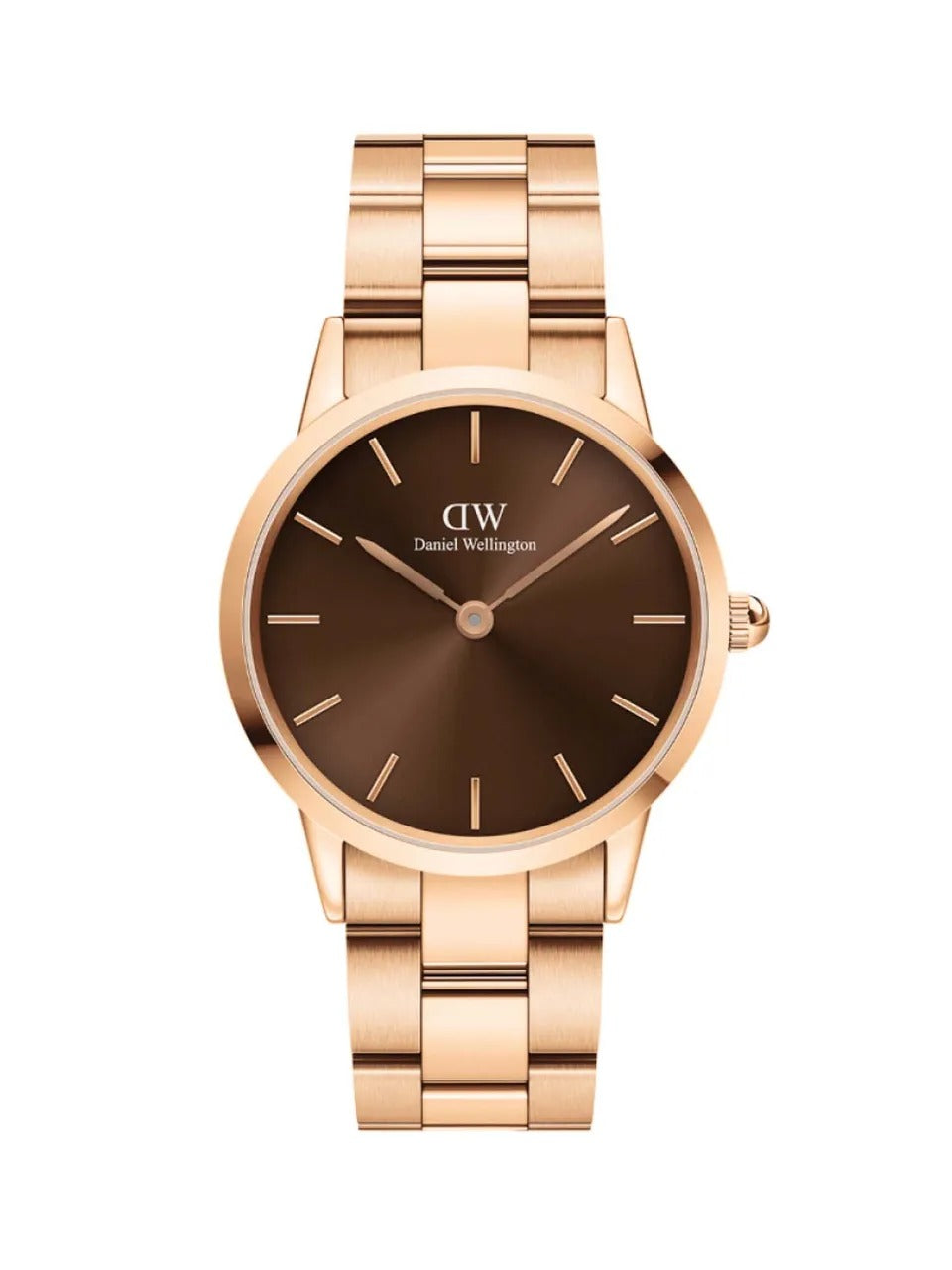 Daniel Wellington Analog Stainless Steel Strap Brown Color Dial Watch With Rose Gold Case And Strap For Women's Watch DW-1204 Dial - Best Watch for Casual Use